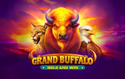 Grand Buffalo Hold and Win